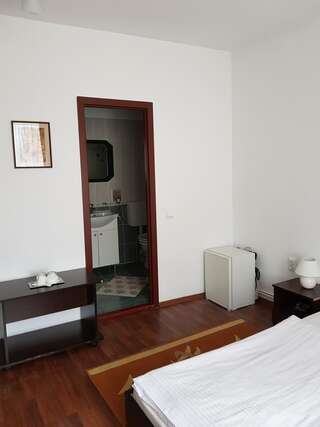 Гостевой дом Vila Vanda Клуж-Напока Улучшенный двухместный номер с 1 кроватью-10