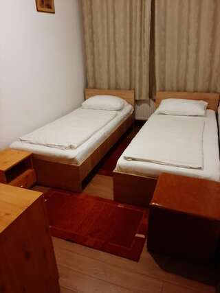 Гостевой дом Vila Vanda Клуж-Напока Двухместный номер с 2 отдельными кроватями-7